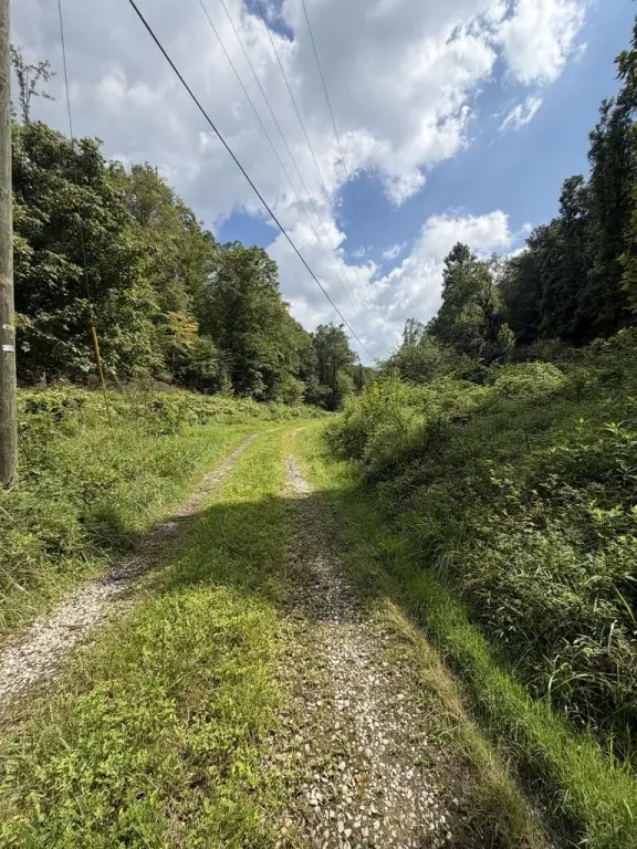 Picture 6