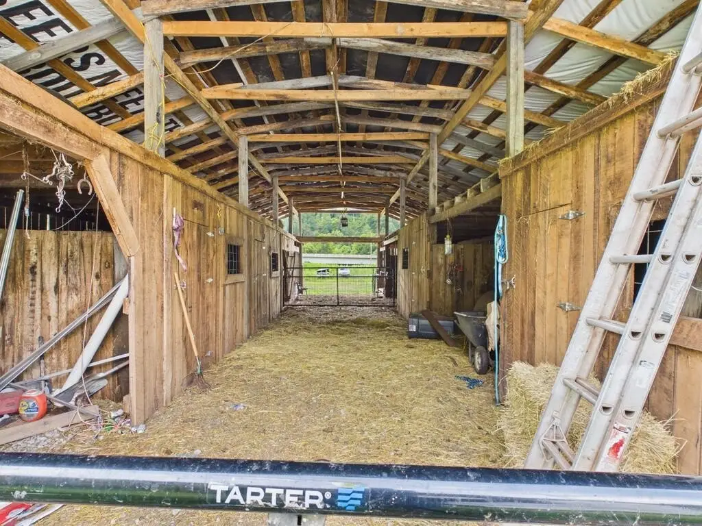 Picture 15