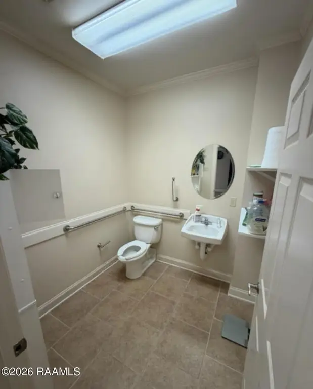 Picture 8