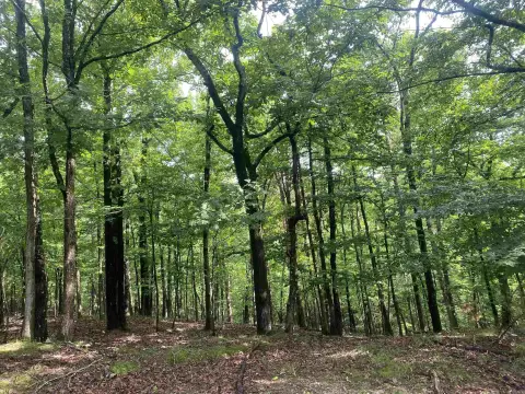 Wooded Lot Near National Park
