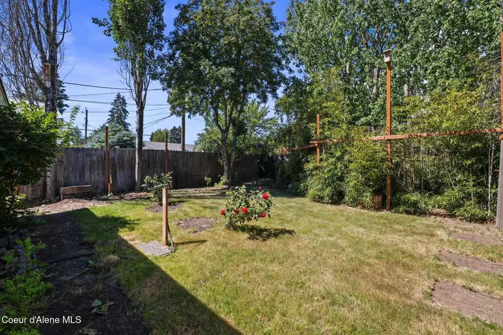 Picture 47