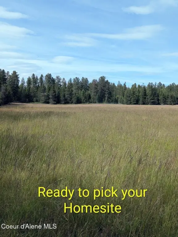 Picture 9