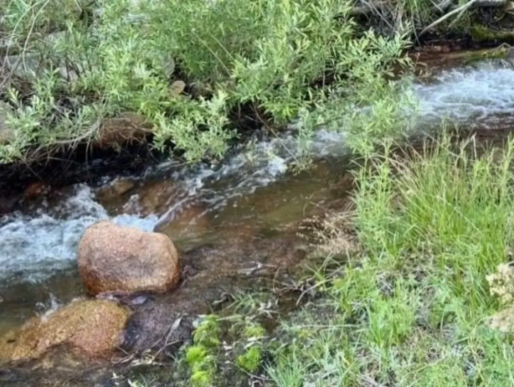 Picture 25