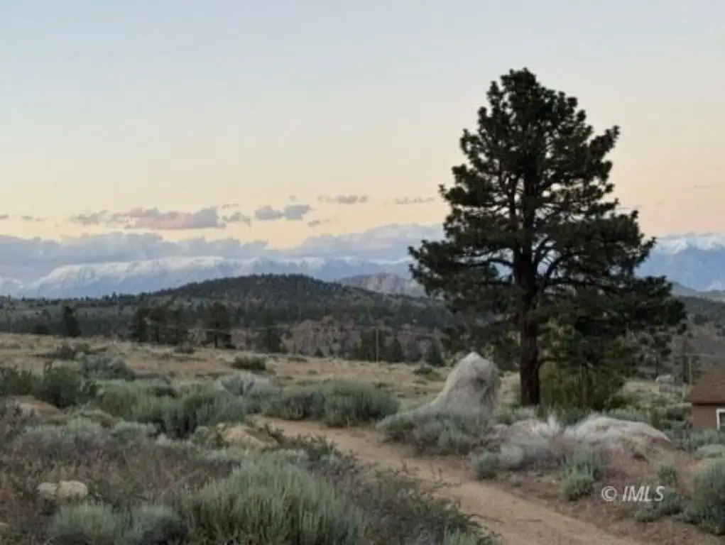Picture 9
