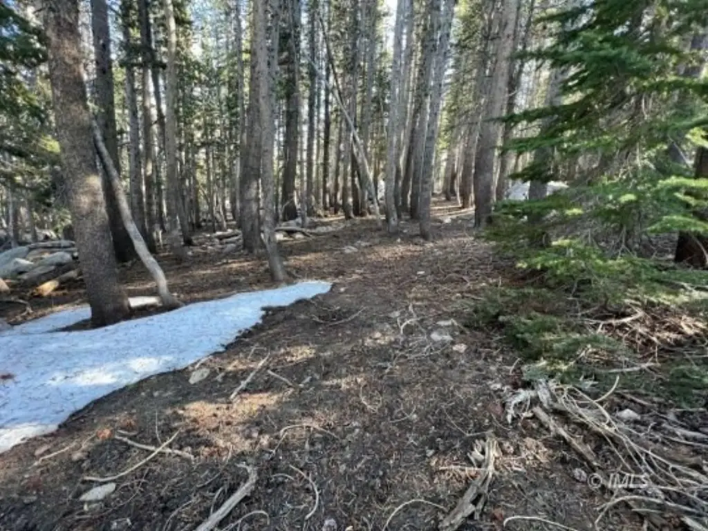 Picture 8