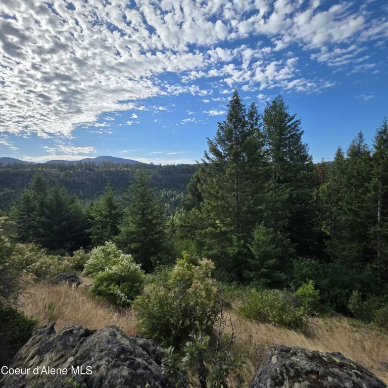 Picture 12