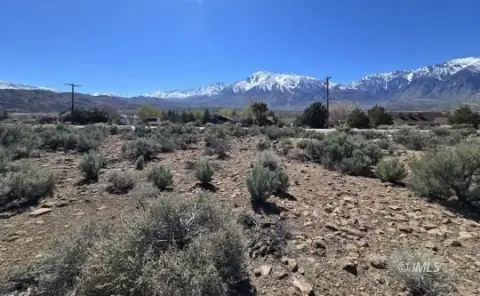 Bishop Land with Mountain Views