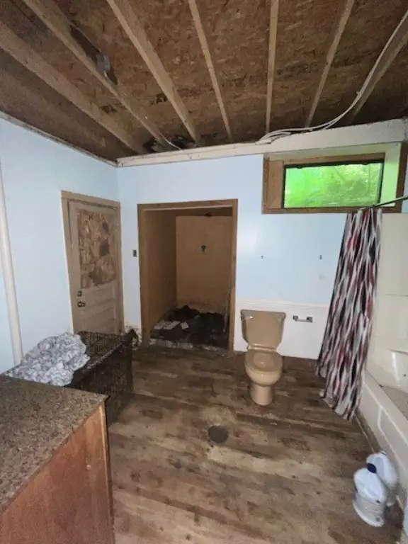 Picture 20