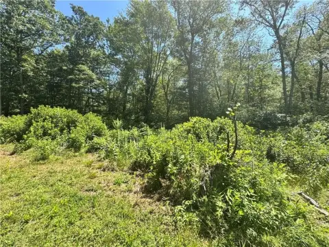Land Parcel in Exeter, RI