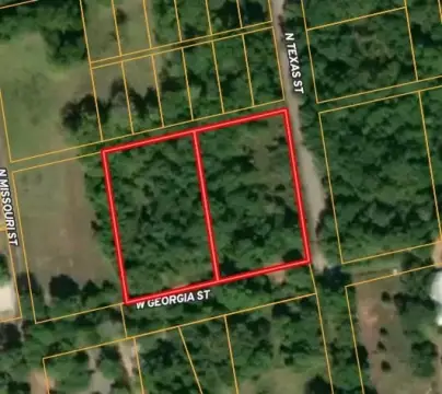 Residential Lots in Palestine, Texas