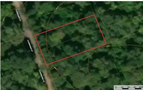Undeveloped City Lot in Palestine, TX