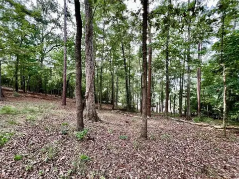 Lake Sam Rayburn Water View Lot