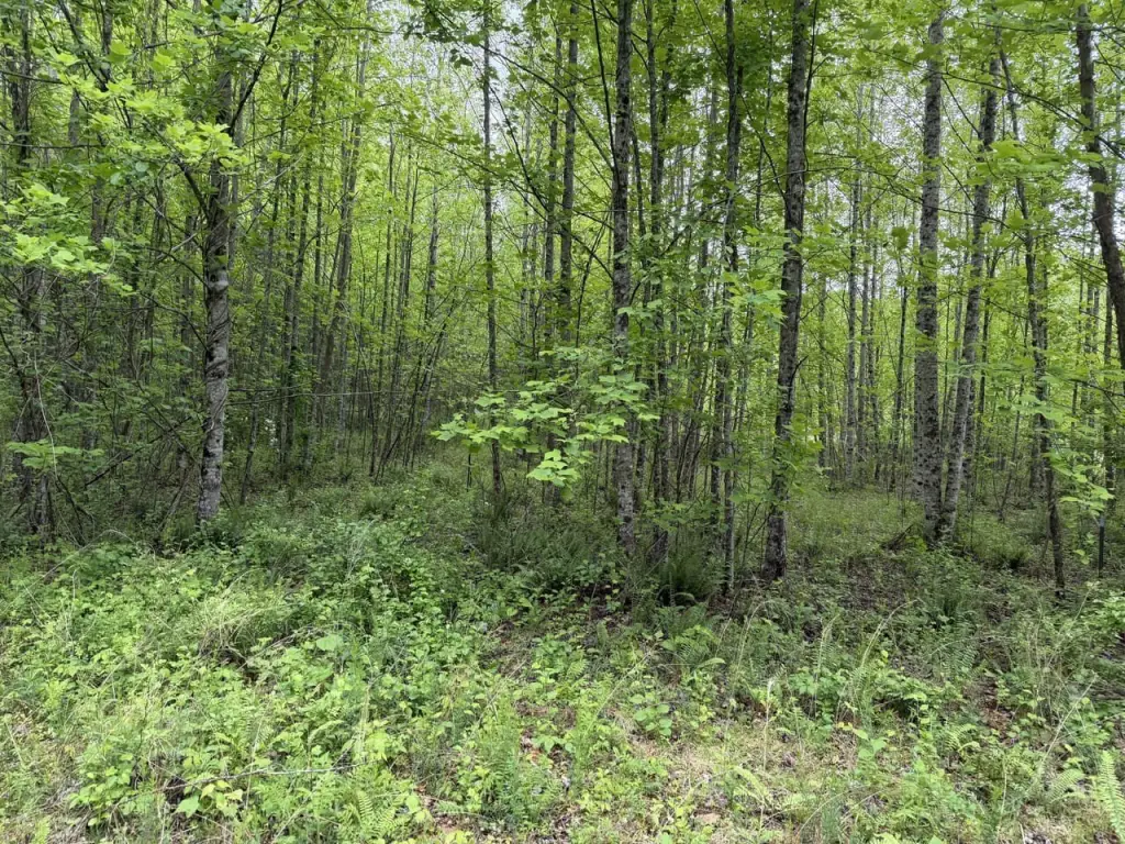 Picture 2