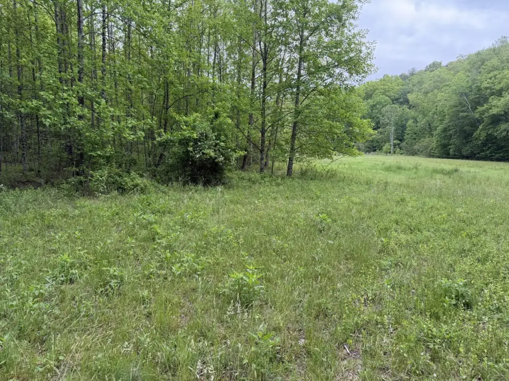 Picture 4