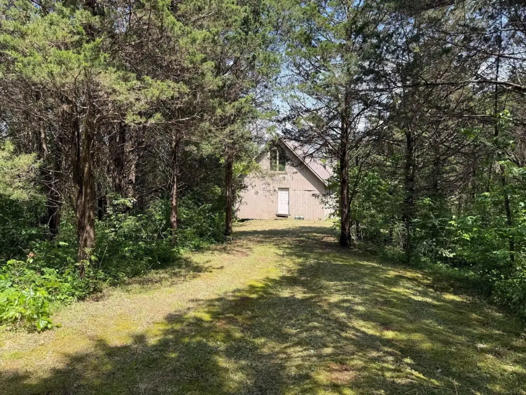 Picture 6