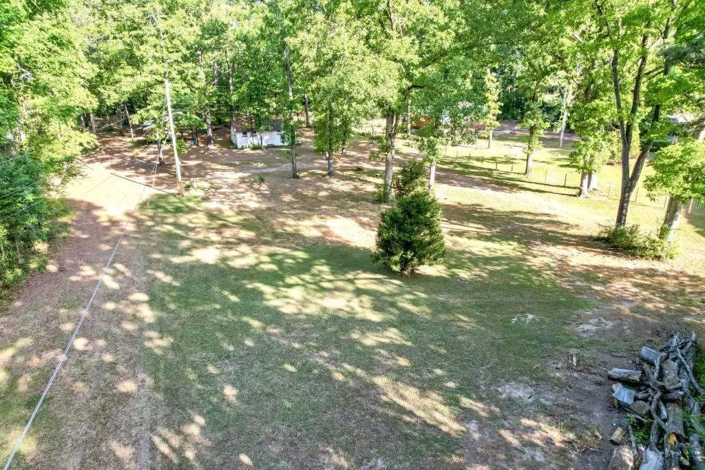 Picture 23
