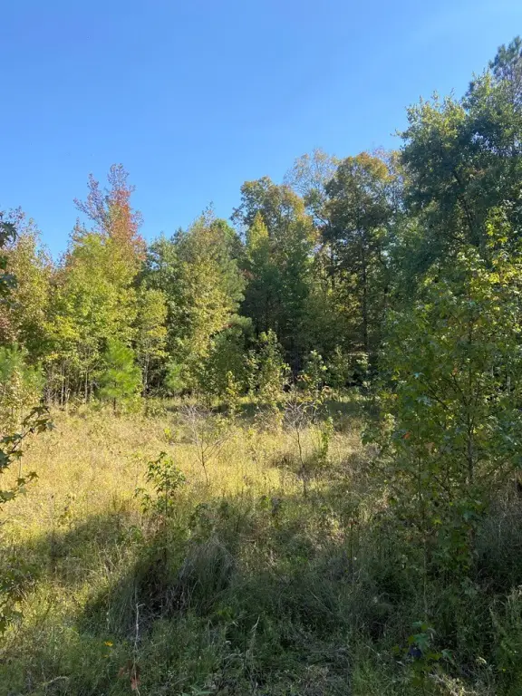 Picture 36