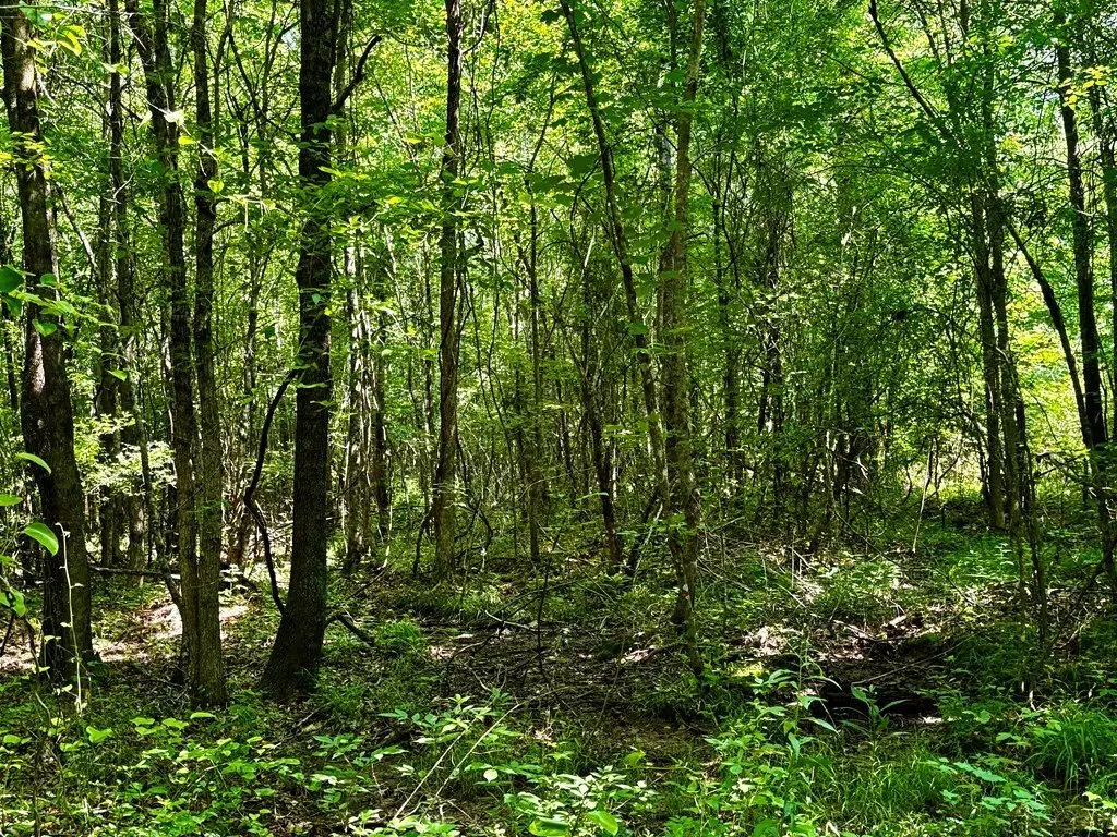 Picture 27