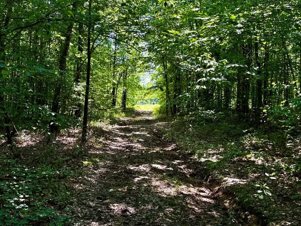 Picture 25