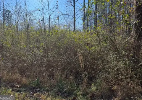 Kingston, GA Land Tract