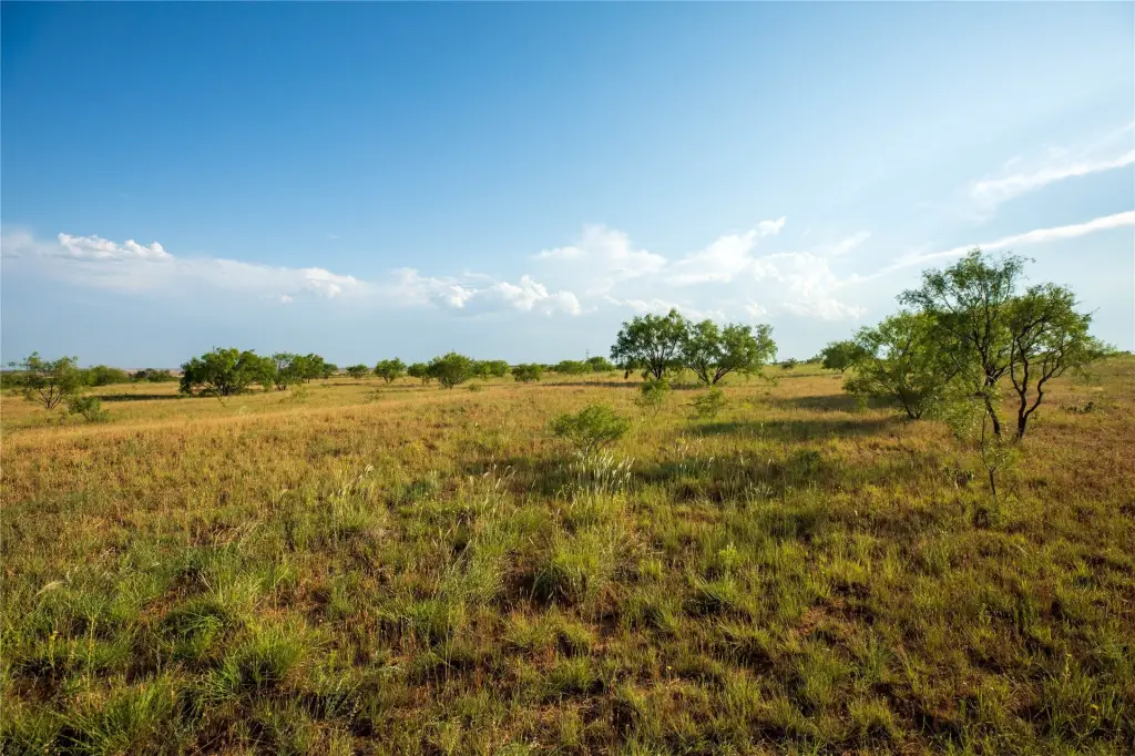 Picture 33
