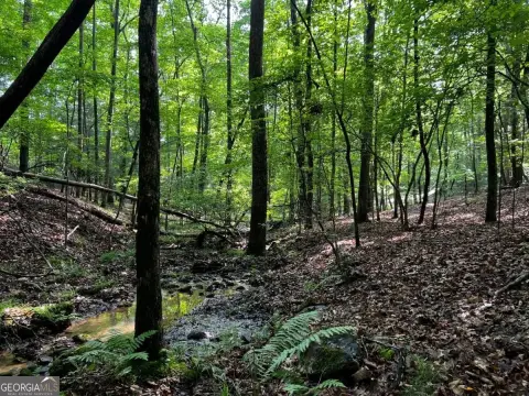 Blairsville Mountain Property For Sale