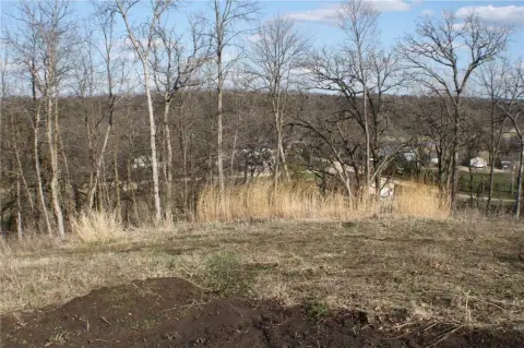 Wooded Lot Overlooking Zumbro River