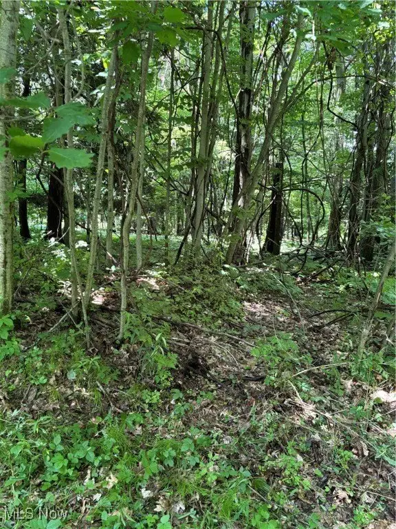 Picture 8