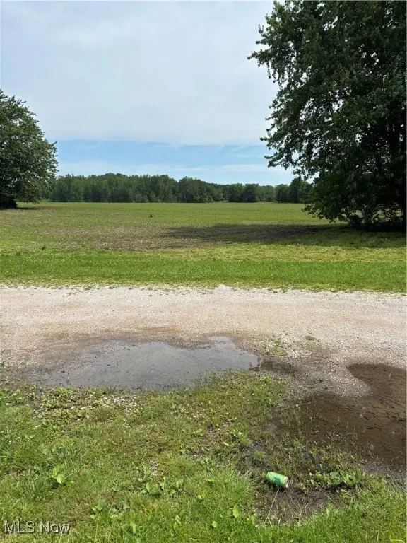 Picture 3