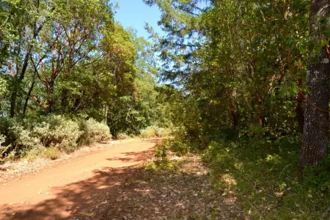 Grants Pass Residential Lots Package