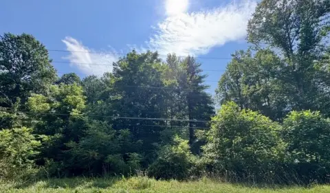 Undeveloped Land Parcel
