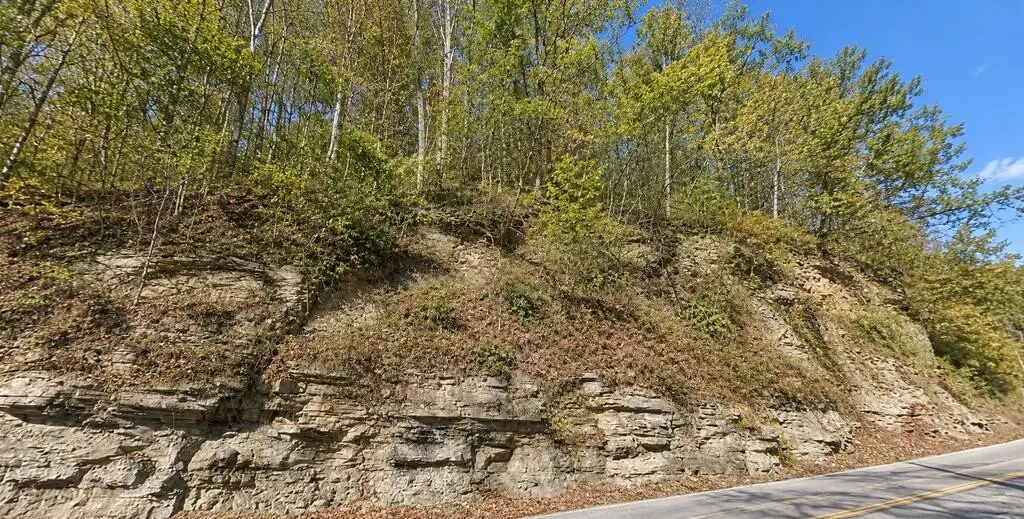 Picture 2