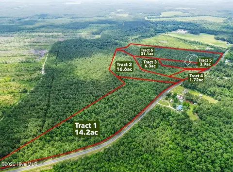 Wooded Hunting Land with Timberland Access