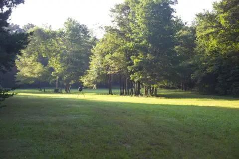 293 Acres Farm in Saulsbury, TN