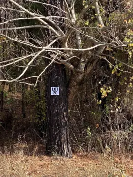 10 Acres Wooded Land, Cabot