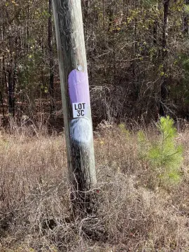 10-Acre Wooded Lot on Highway