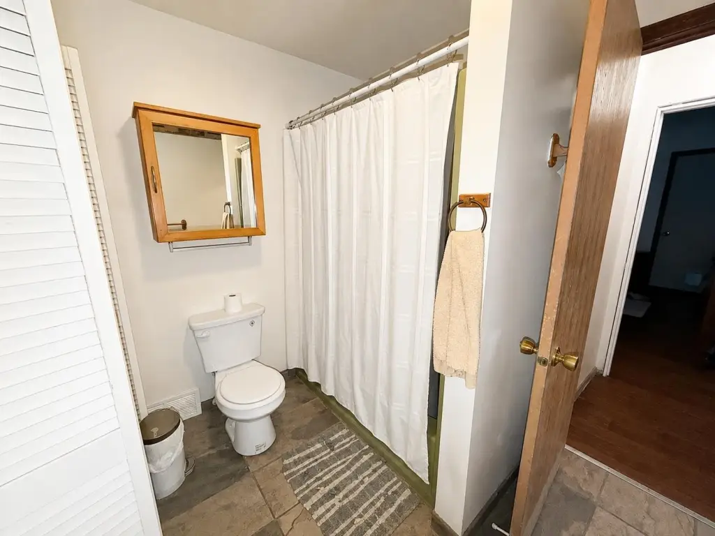 Picture 44