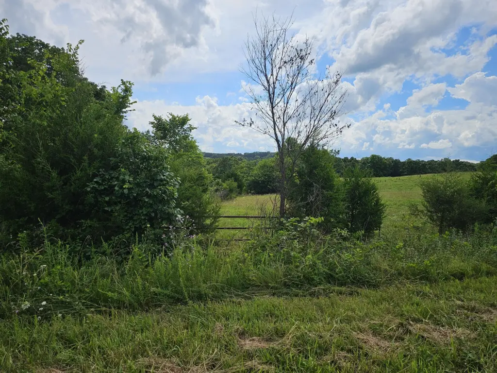 Picture 6