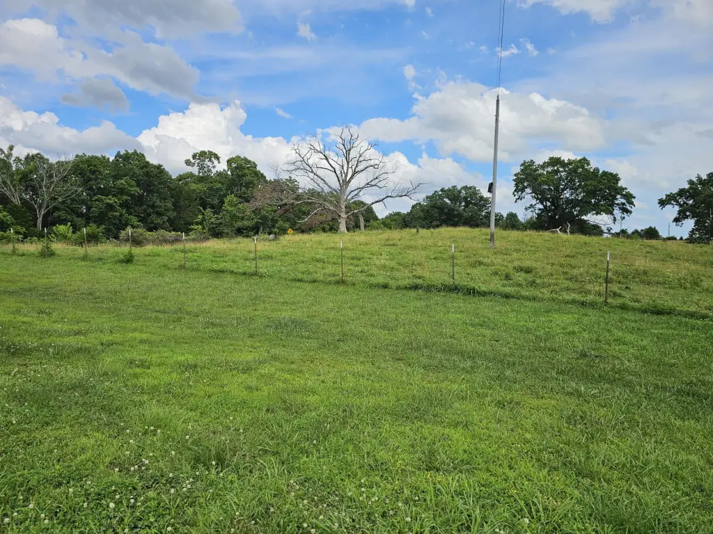 Picture 4