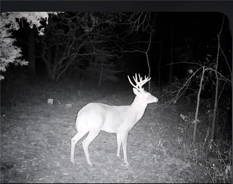 Picture 13