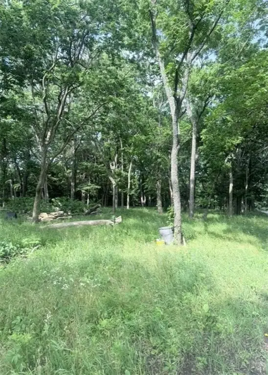 Picture 11