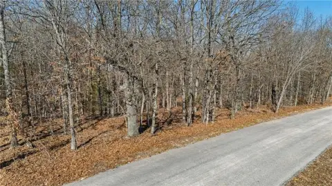 Wooded Lot in Bella Vista