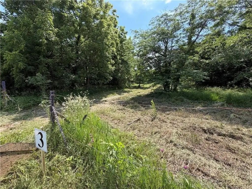 Picture 11
