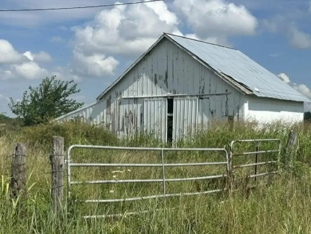 Picture 4