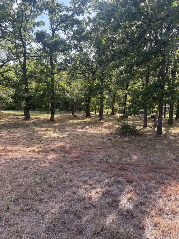 Picture 4