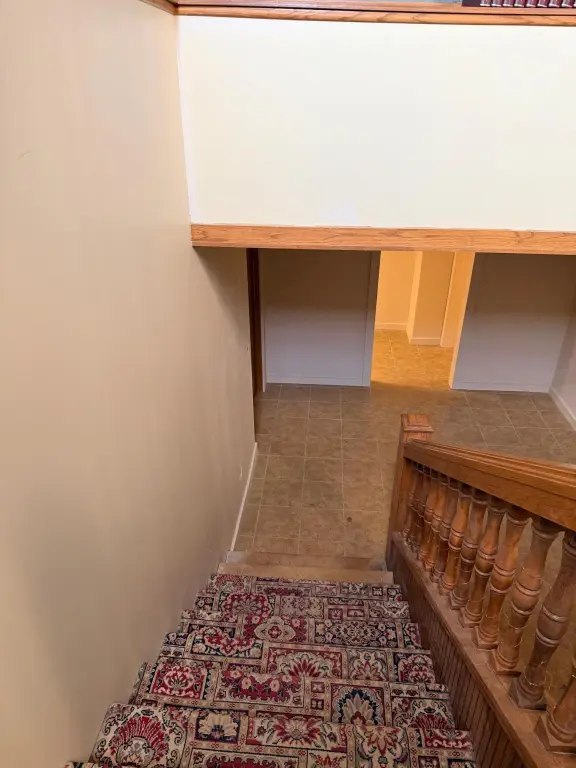 Picture 20
