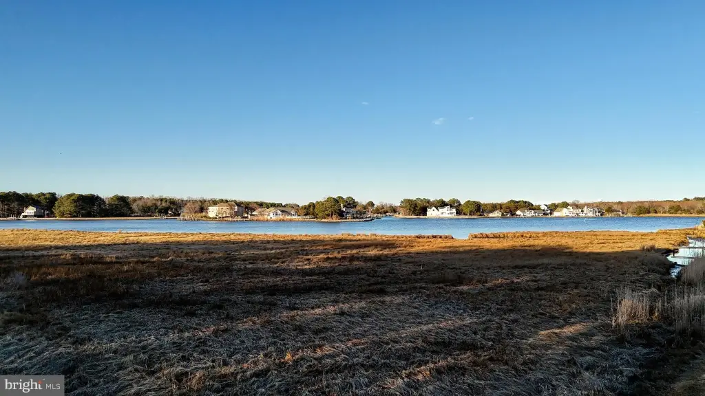 Picture 23