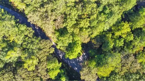 Residential Lot in Fairfield Plantation