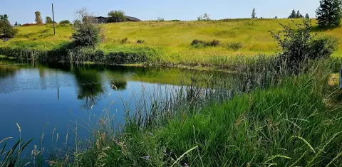 Colville Building Lot with Septic