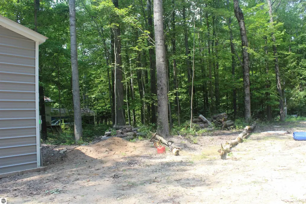 Picture 11